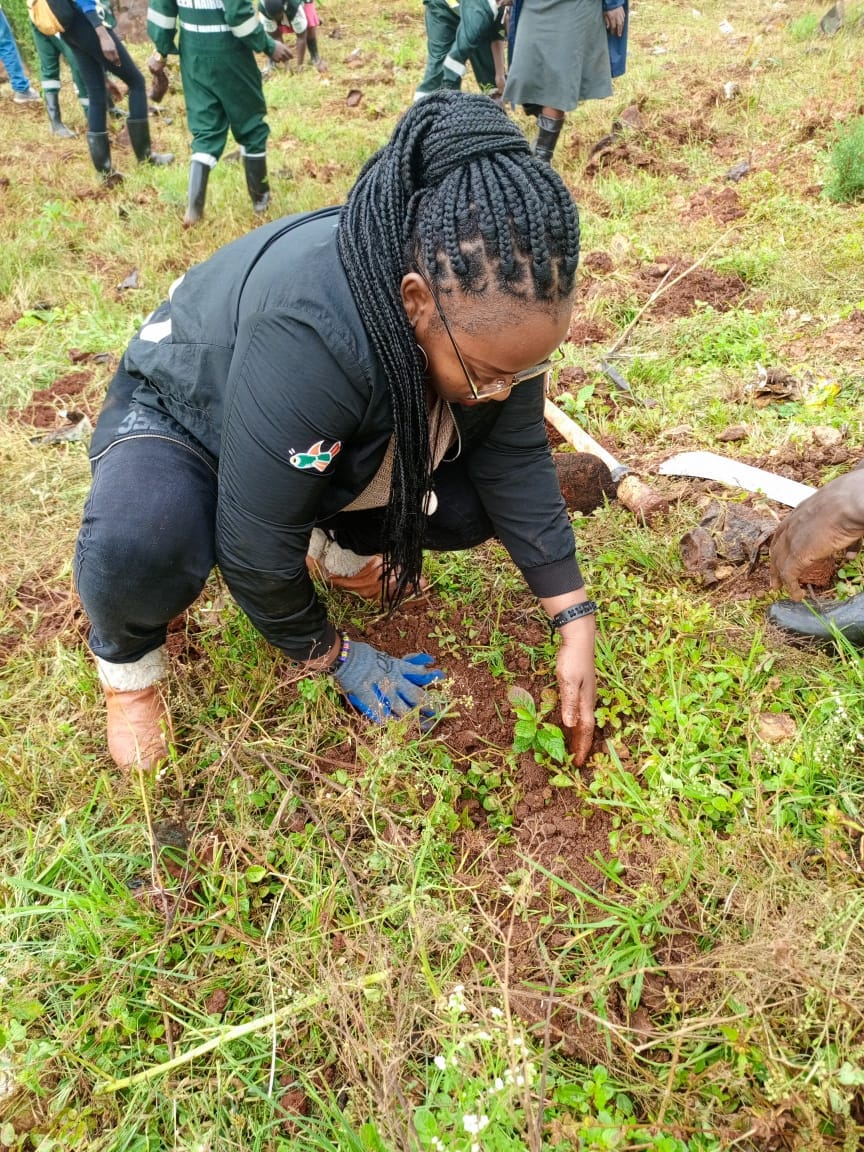 Environmental Initiatives in Kenya